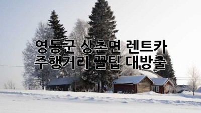 🚗 영동군 상촌면 렌트카 주행거리, 꿀팁 대방출! 🍯